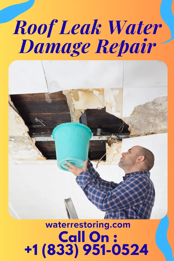Roof Leak Water Damage Repair in Lochmoor Waterway Estates, FL